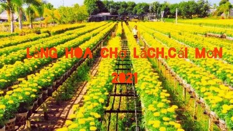Mẹ Bỉm Sữa Ở Đà Nẵng Kiếm Tiền Từ Video Với Hotspot Matrix_Phần mềm biên tập video miễn phí