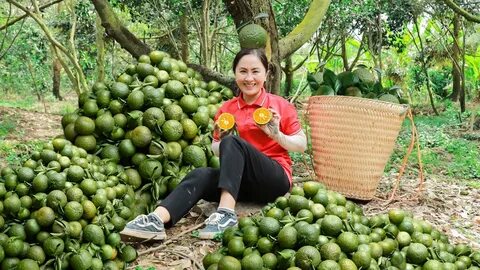 Làm Video Ngắn – Vừa Sáng Tạo, Vừa Kiếm Tiền Với Công Cụ Hữu Ích_Xu hướng video ngắn 2025