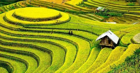 Cách Khởi Nghiệp Kiếm Tiền Bán Thời Gian Dành Cho Người Mới_Video ngắn