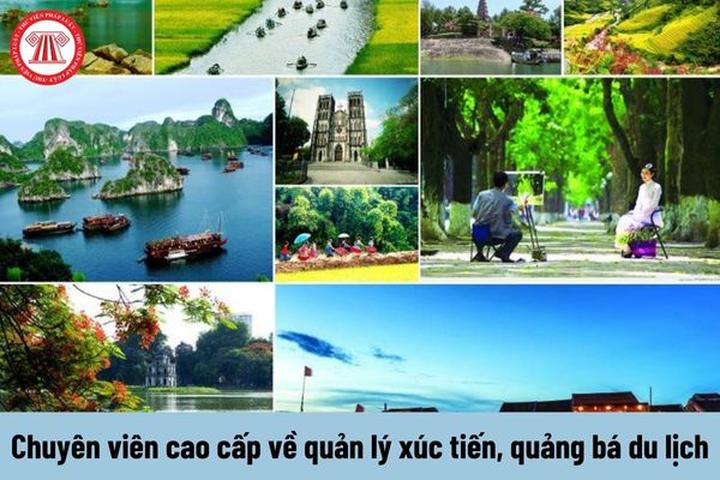 Từ 4 kiểu áo không thể thiếu đến chiến lược content: Hotspot Matrix chia sẻ