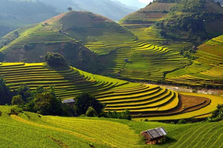 Cách Khởi Nghiệp Kiếm Tiền Bán Thời Gian Dành Cho Người Mới