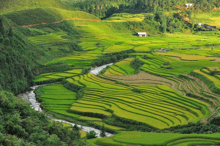Video ngắn – Giải pháp truyền thông thông minh cho doanh nghiệp nhỏ