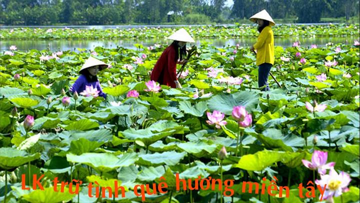 Làm Video Ngắn – Vừa Sáng Tạo, Vừa Kiếm Tiền Với Công Cụ Hữu Ích