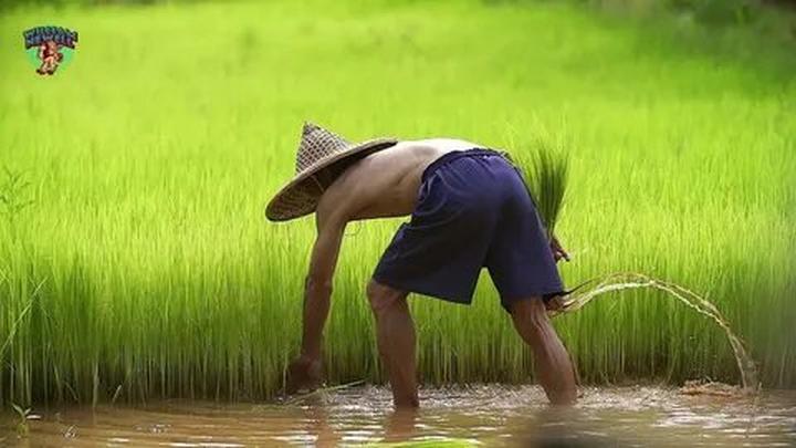 Video ngắn – Giải pháp truyền thông thông minh cho doanh nghiệp nhỏ