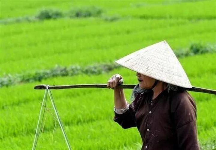 Câu chuyện cậu bé họ Huỳnh ở Uông Bí và hành trình đổi đời cùng Hotspot Matrix