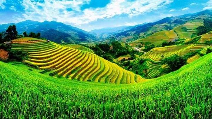 Từ HOT: Tiểu Yến Tử - Hạ Tử Vy - đến chiến lược content: Hotspot Matrix chia sẻ